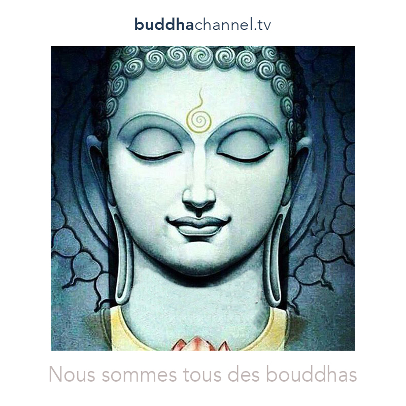 Nous Sommes Buddha