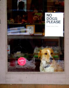 En France l'accès aux supermarchés est formellement interdit aux animaux. Image du domaine public.